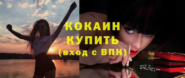 мет Арсеньев