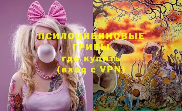 метадон Армянск