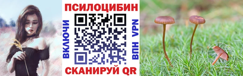 Псилоцибиновые грибы GOLDEN TEACHER  Купить закладки  Кашин 